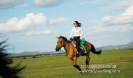 骑马视频,骑马视频中的速度与激情